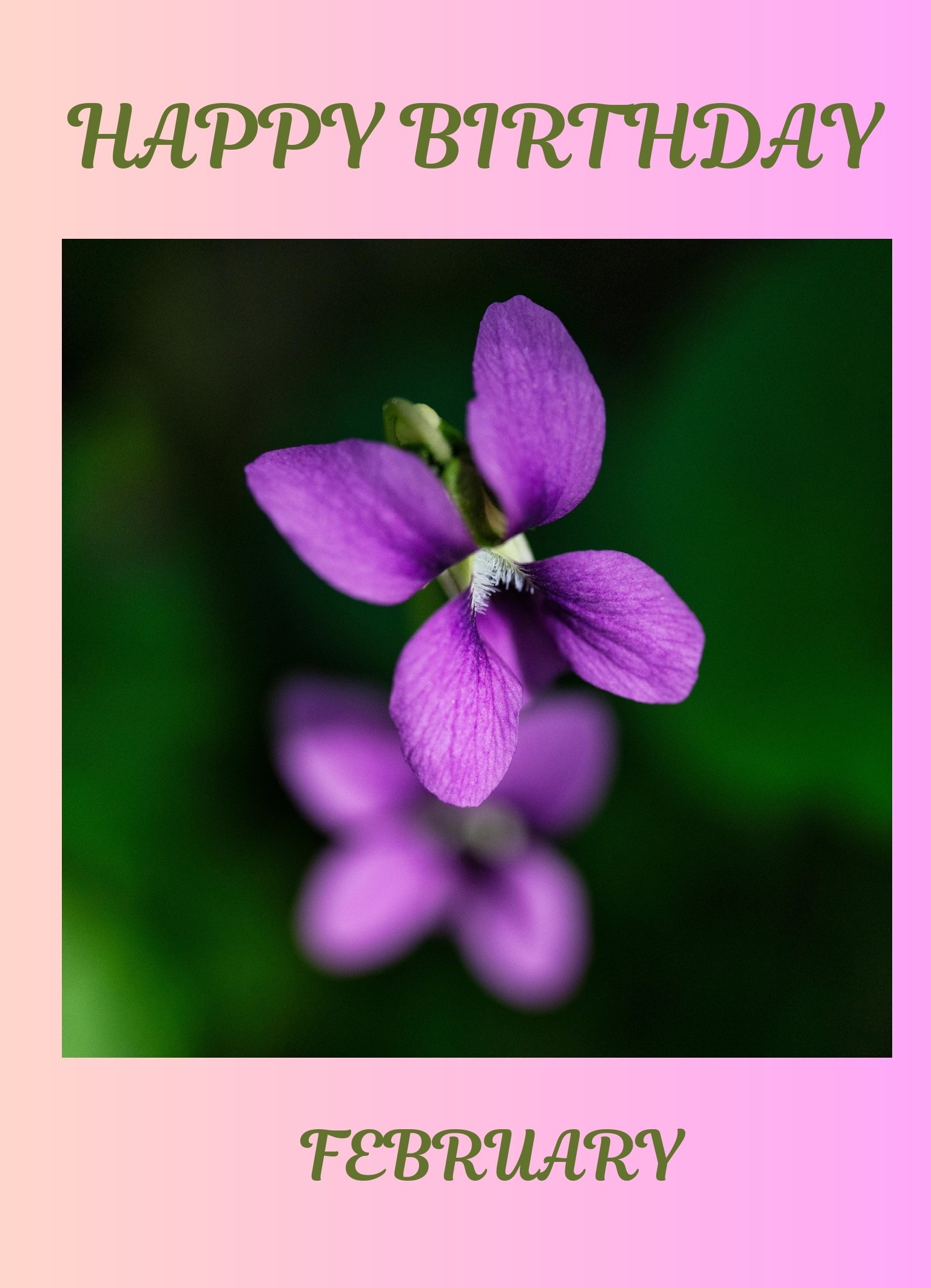 February Birth Flower Card