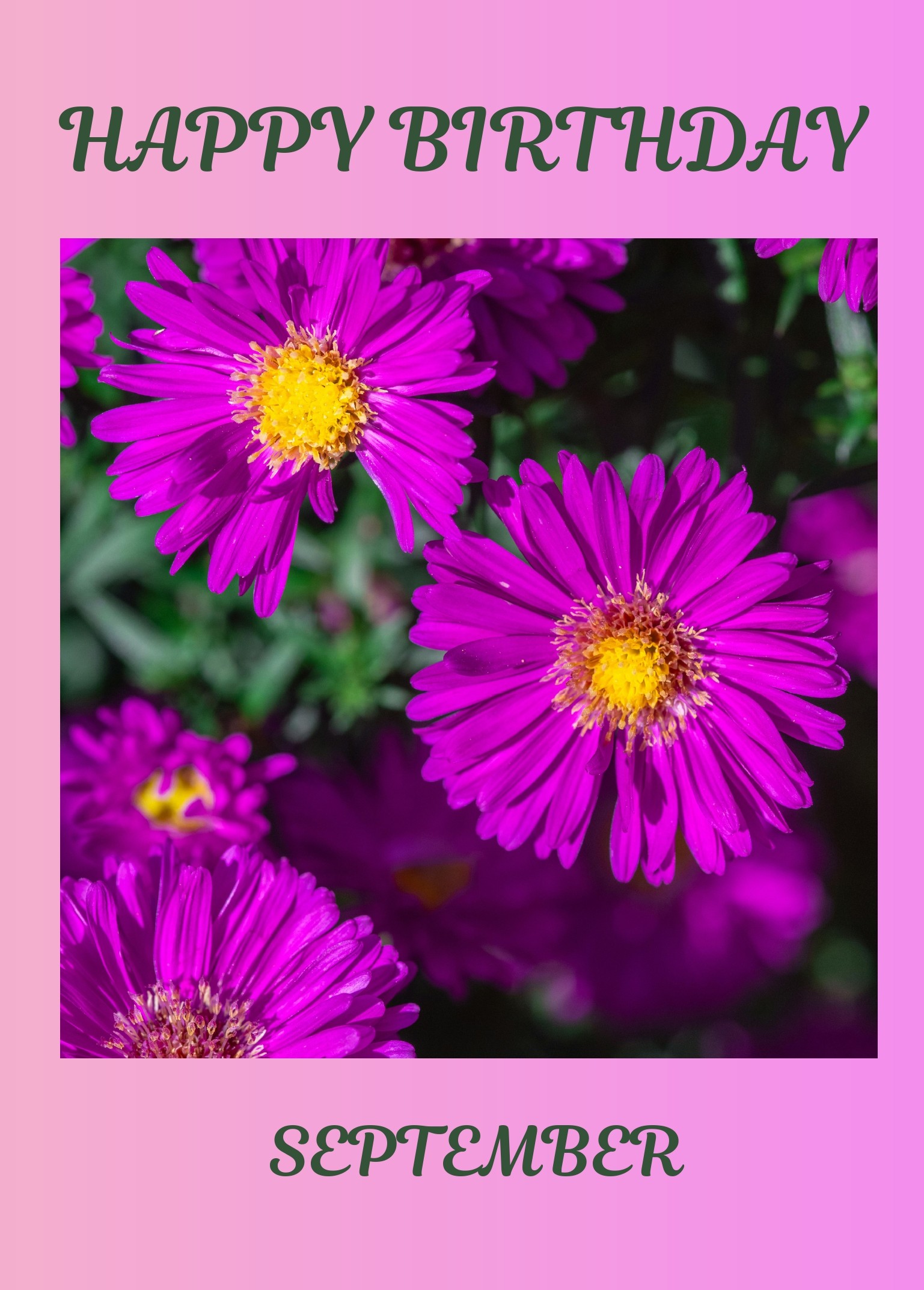 September Birth Flower Card